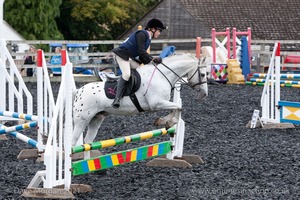 Class 3 -  Fences not above 2'3